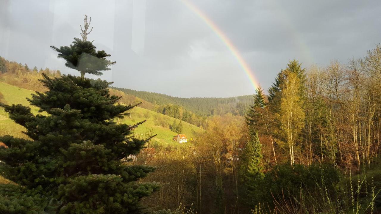 Osterode am Harz Fewo Bergblick מראה חיצוני תמונה